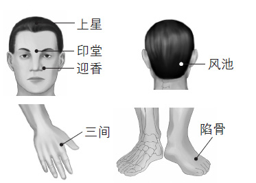 鼻塞、打鼾等鼻子問題的防治